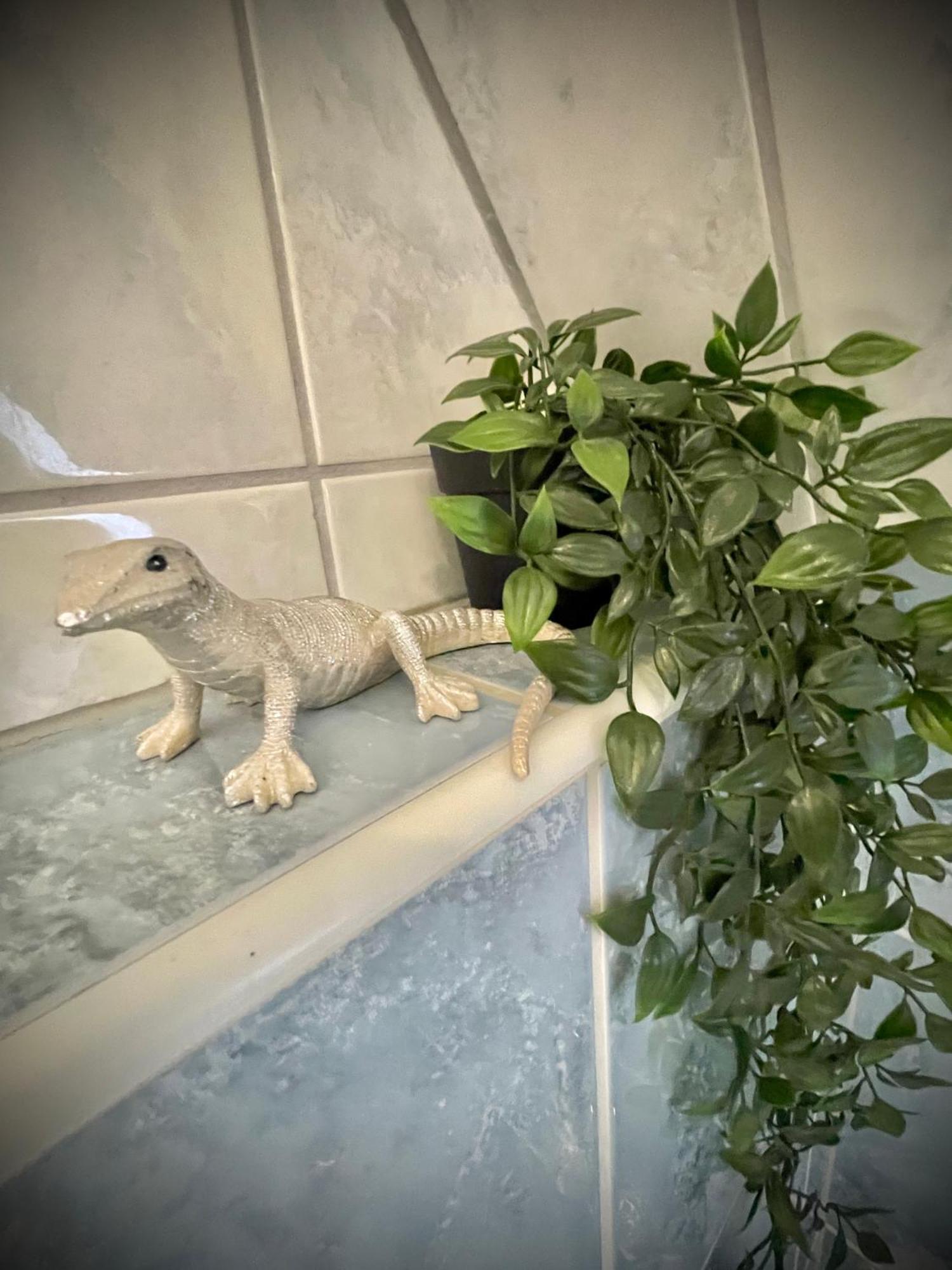 Apartament Casa Jungle Glanz Deluxe Sigmaringen Zewnętrze zdjęcie