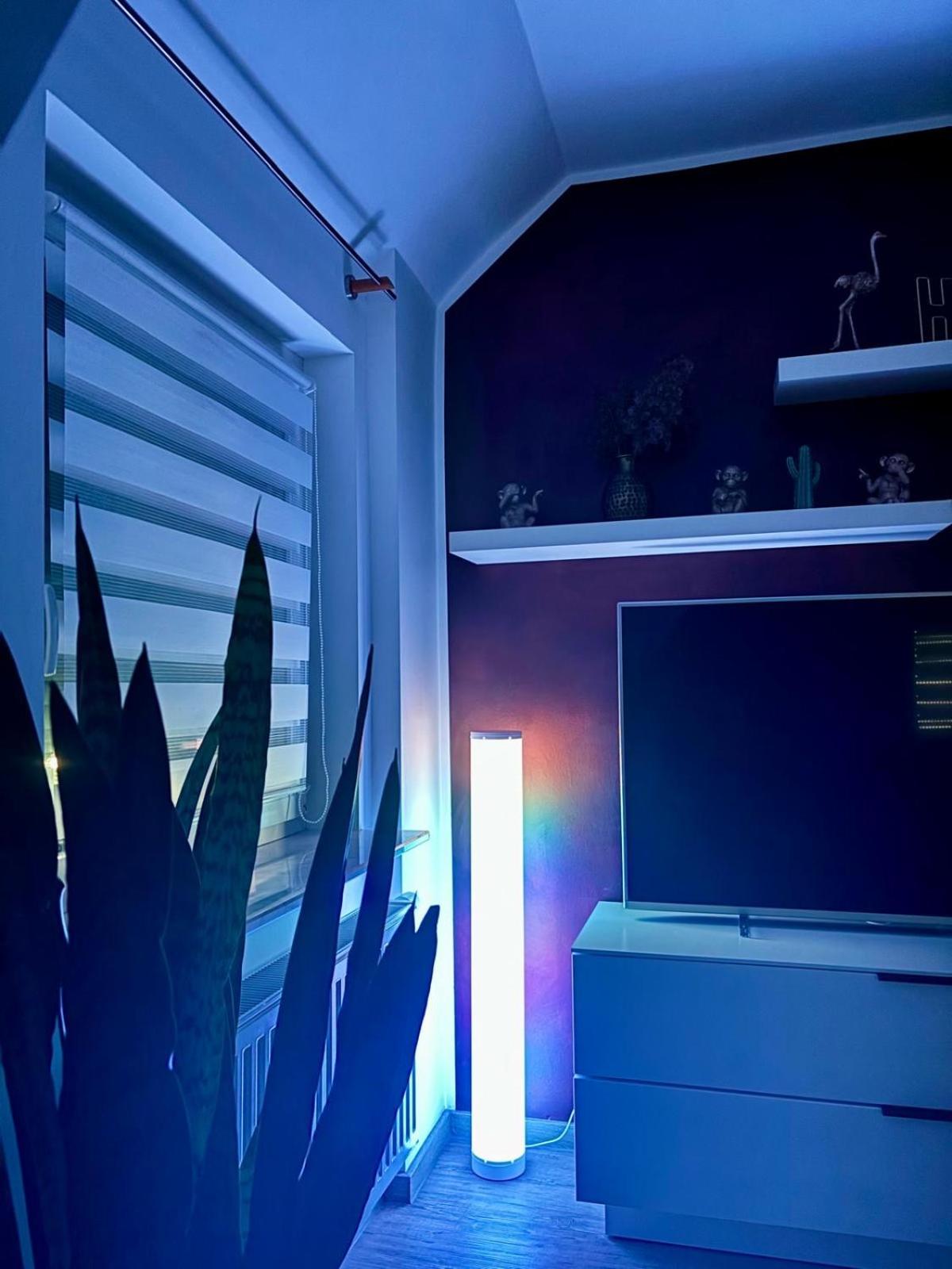 Apartament Casa Jungle Glanz Deluxe Sigmaringen Zewnętrze zdjęcie