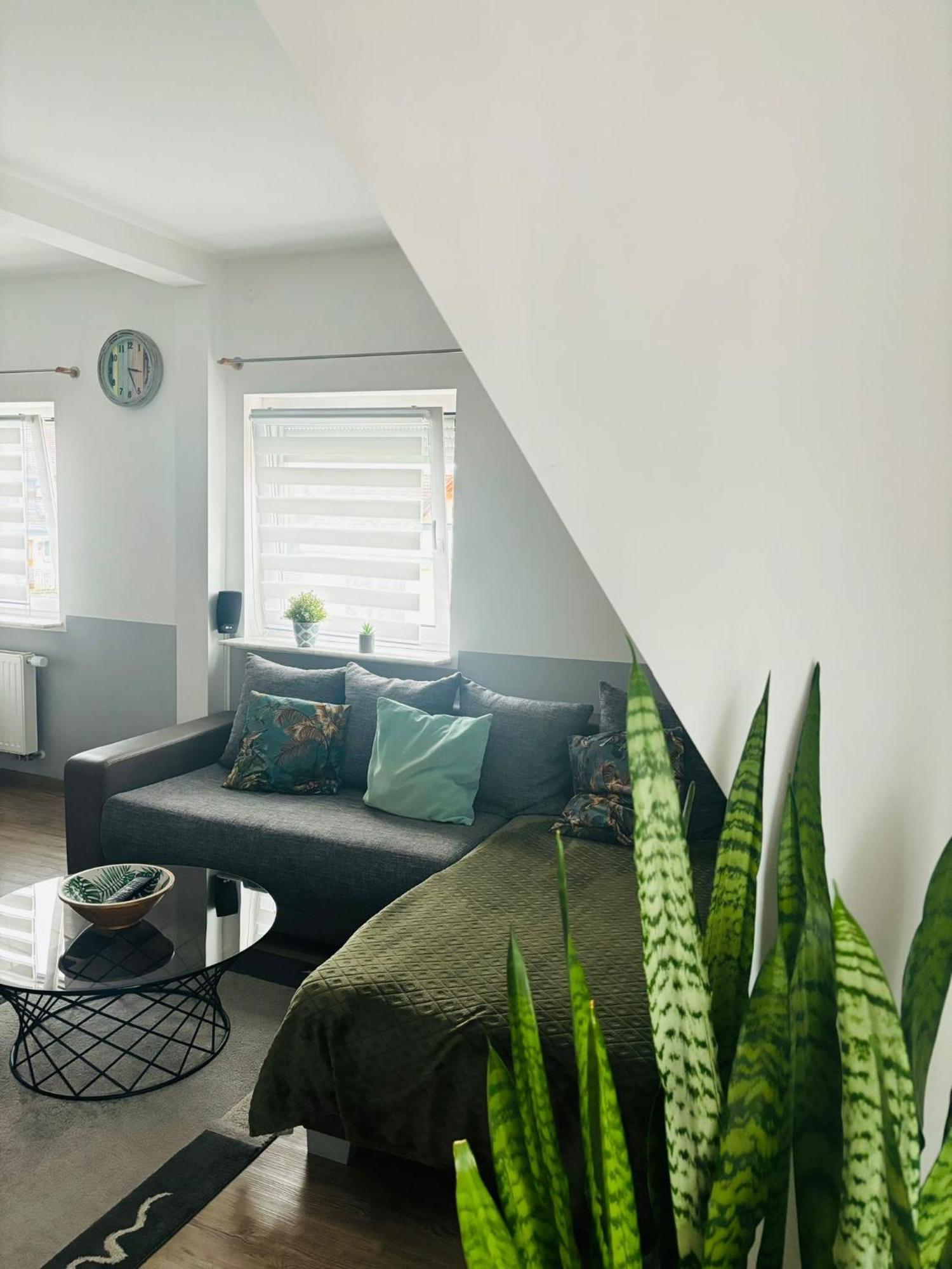Apartament Casa Jungle Glanz Deluxe Sigmaringen Zewnętrze zdjęcie